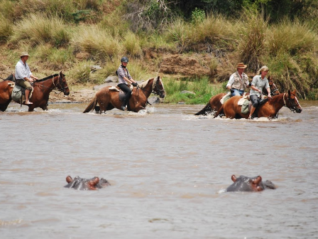 Off Beat African Safari